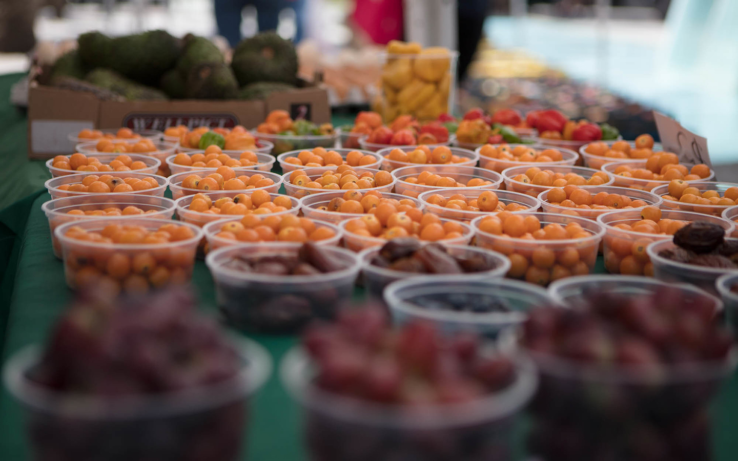 SouthMiamiBeach-LincolnRoad-farmers-market-1440x900.jpg