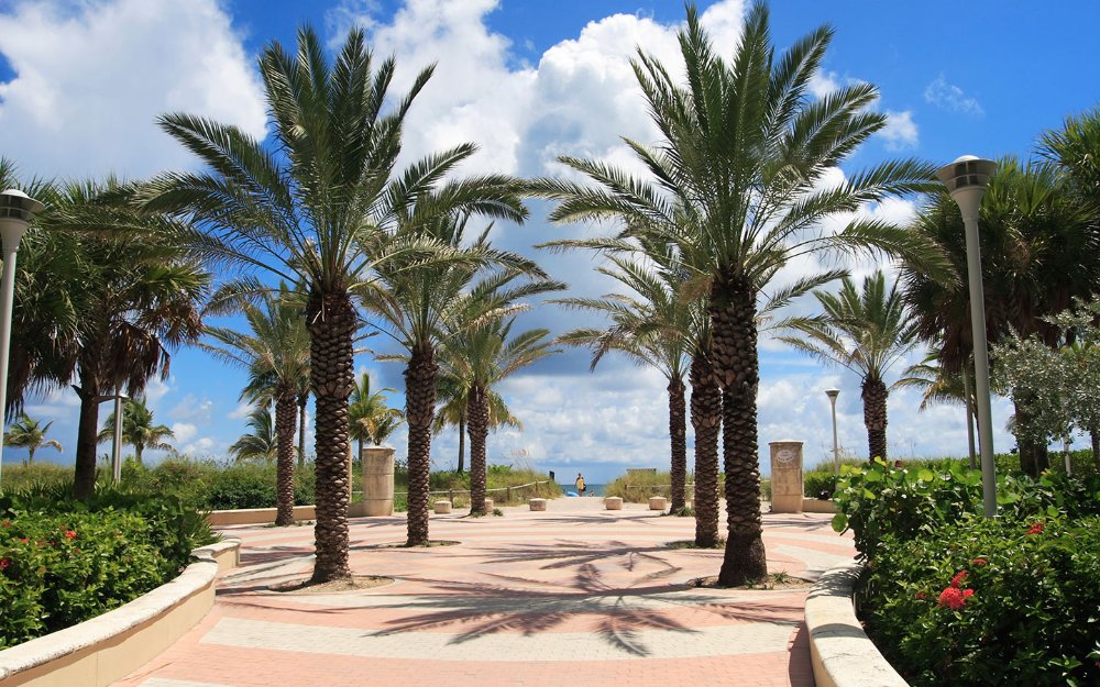 Path lined with palm trees that leads to the sands of Miami Beach