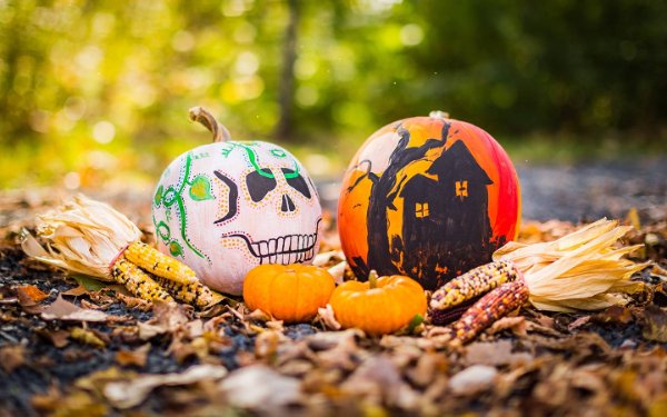 Carved pumpkins