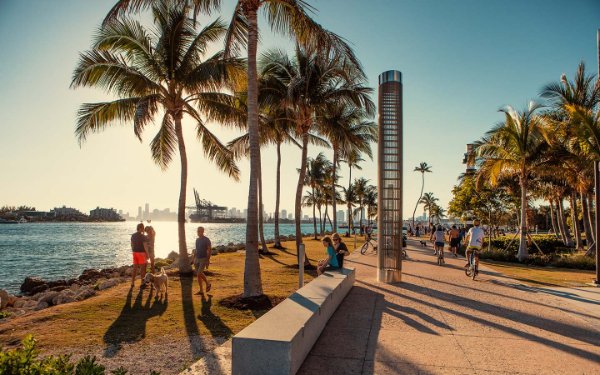 Scenic path at South Point Park, Miami Beach, with people and dogs, palm trees, and ocean views