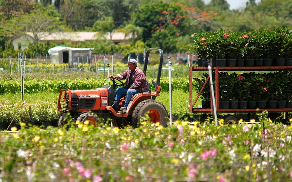 Farm hand on tractor in Homestead