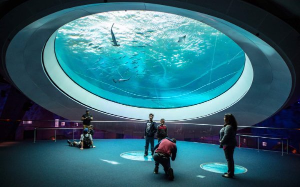 Family at bottom of 31-foot oculus lens at Frost Science Museum Miami