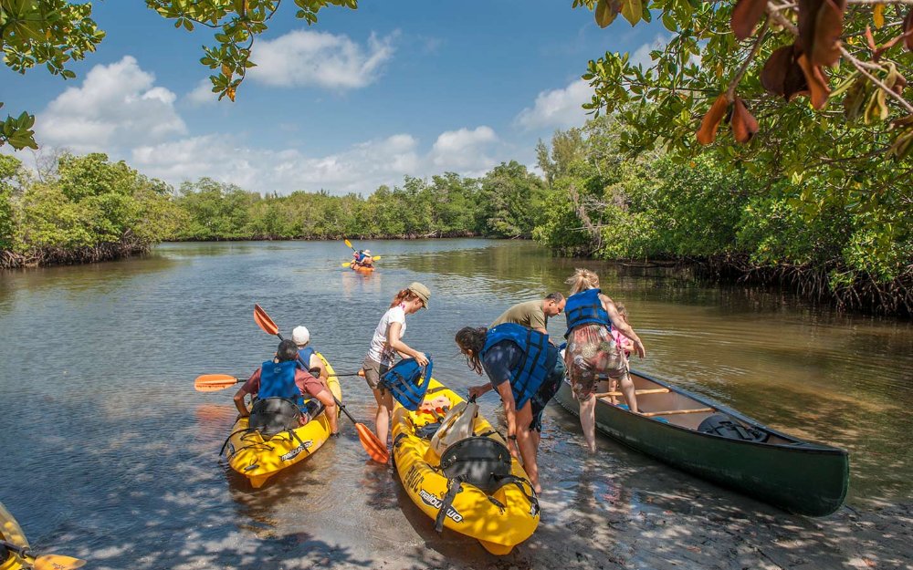 Group kayaking at Oleta River State Park, enjoying the serene waters surrounded by lush greenery and mangroves