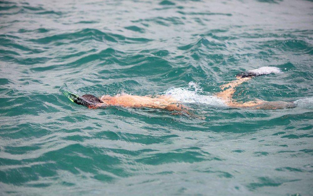 Snorkeler enjoying the underwater view in the ocean