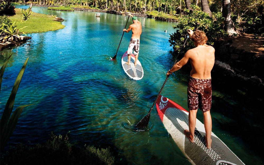 Stand-up paddleboarding at Matheson Hammock