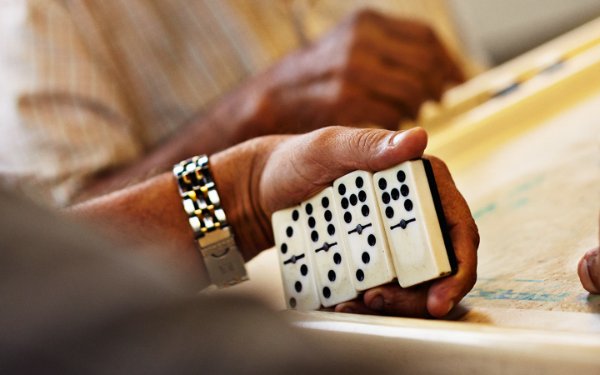 Domino player in Little Havana