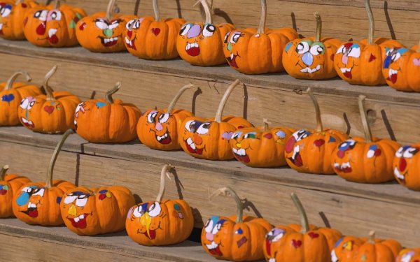 Rows of jack-o-lanterns with funny faces