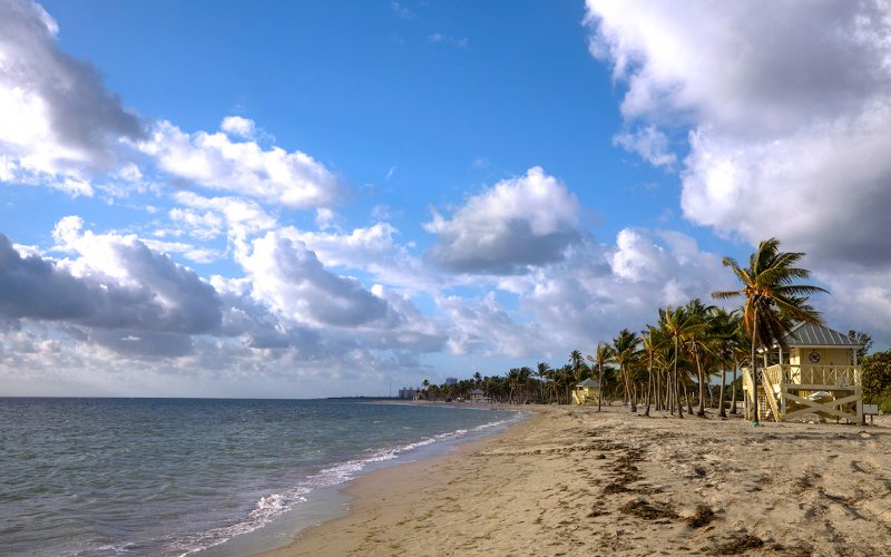 Crandon Park Beach Shoreline & Palms