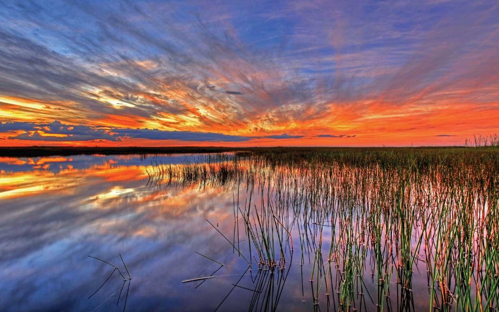 Stunning sunset over Everglades wetland prairie