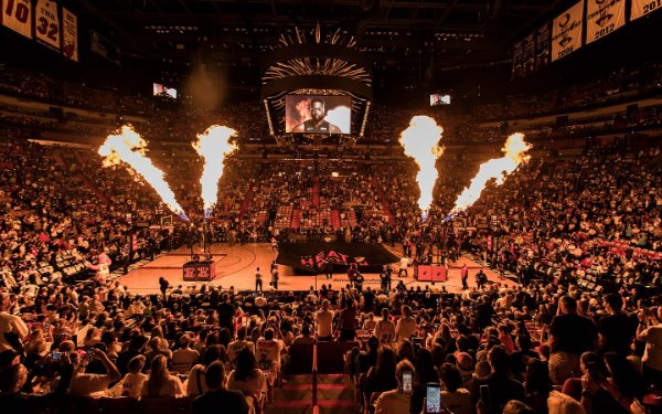 Excited fans at a Miami Heat game