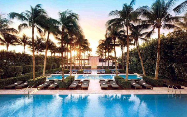 Palm trees by the pools at The Setai Miami Beach